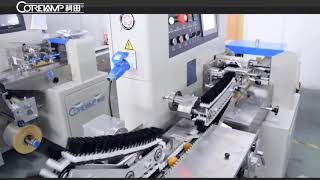 High speed fresh furit orange packaging machine