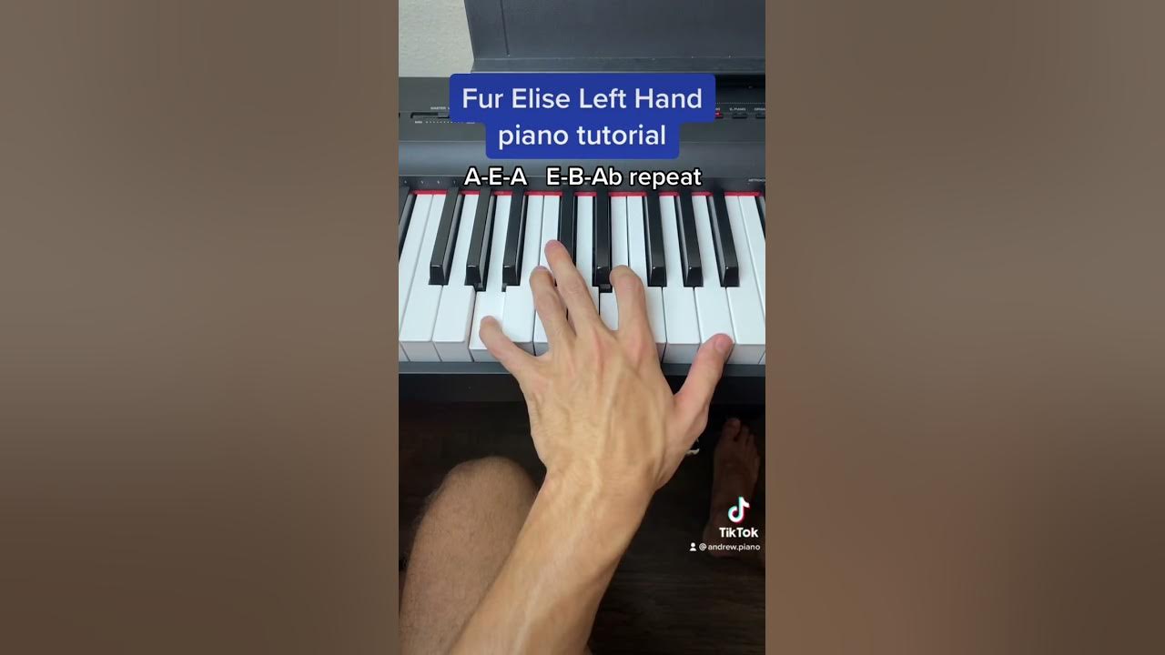 Fur Elise Left Hand easy piano tutorial!