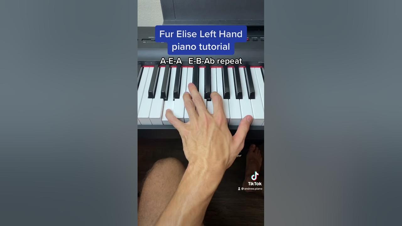Fur Elise Left Hand easy piano tutorial! - YouTube