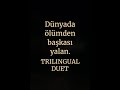 Dünyada ölümden başkası yalan  | Trilingual | Dr.D 37