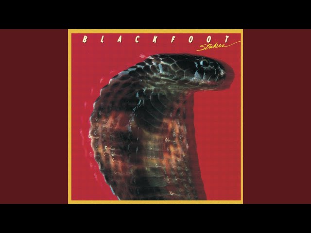 Blackfoot - I Got A Line On You