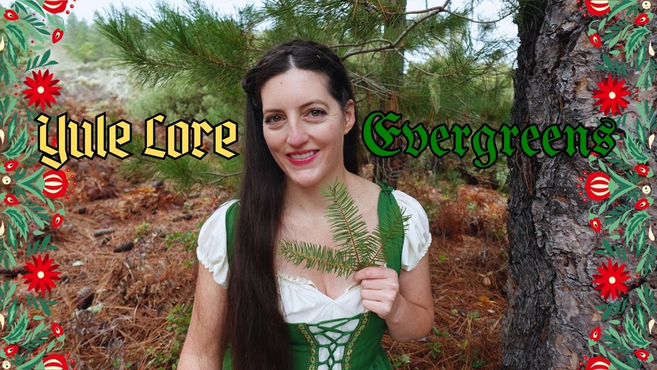 What's so special about evergreens anyway?