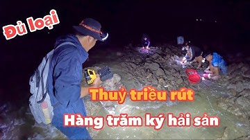 Thủy Triều Rút Để Lại Hàng Trăm Ký Hải Sản Trên Bờ Biển | Cuộc Sống Nông Thôn #amthuc #food