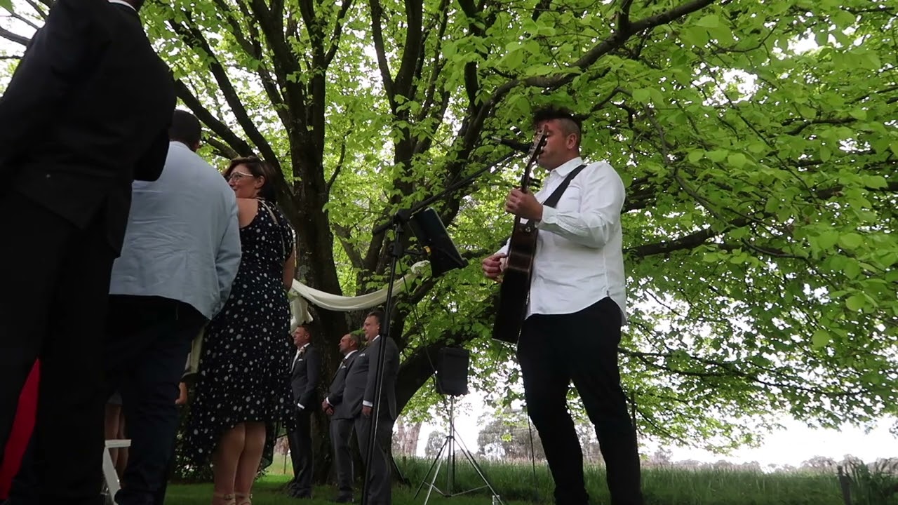 Everlong - Foo Fighters - Cover for the Wedding Ceremony of Jules and Dave