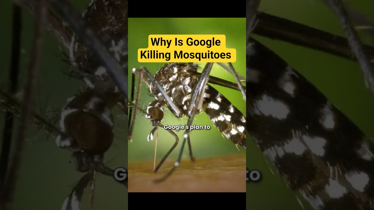 Biological Control of Mosquito-Borne Diseases Using Wolbachia-Infected Mosquitoes