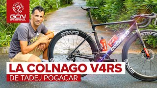 La Colnago V4RS de Tadej Pogačar| UAE Team Emirates Pro Bike