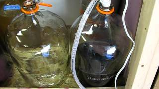 Racking Wine at Three Tree Cellars
