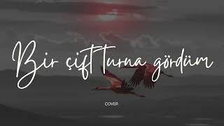 Bir Çift Turna Gördüm - 70S Cover