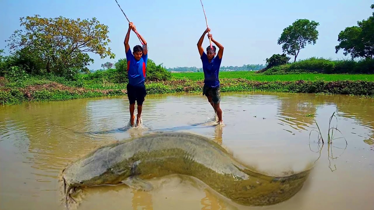 Unique Fishing Style Teta With in Drean Water Village Boys Catching Big ...