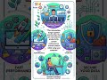 Useful Tips and Tricks List While Using Laptop and Desktop information from Youth Buddy | #shorts