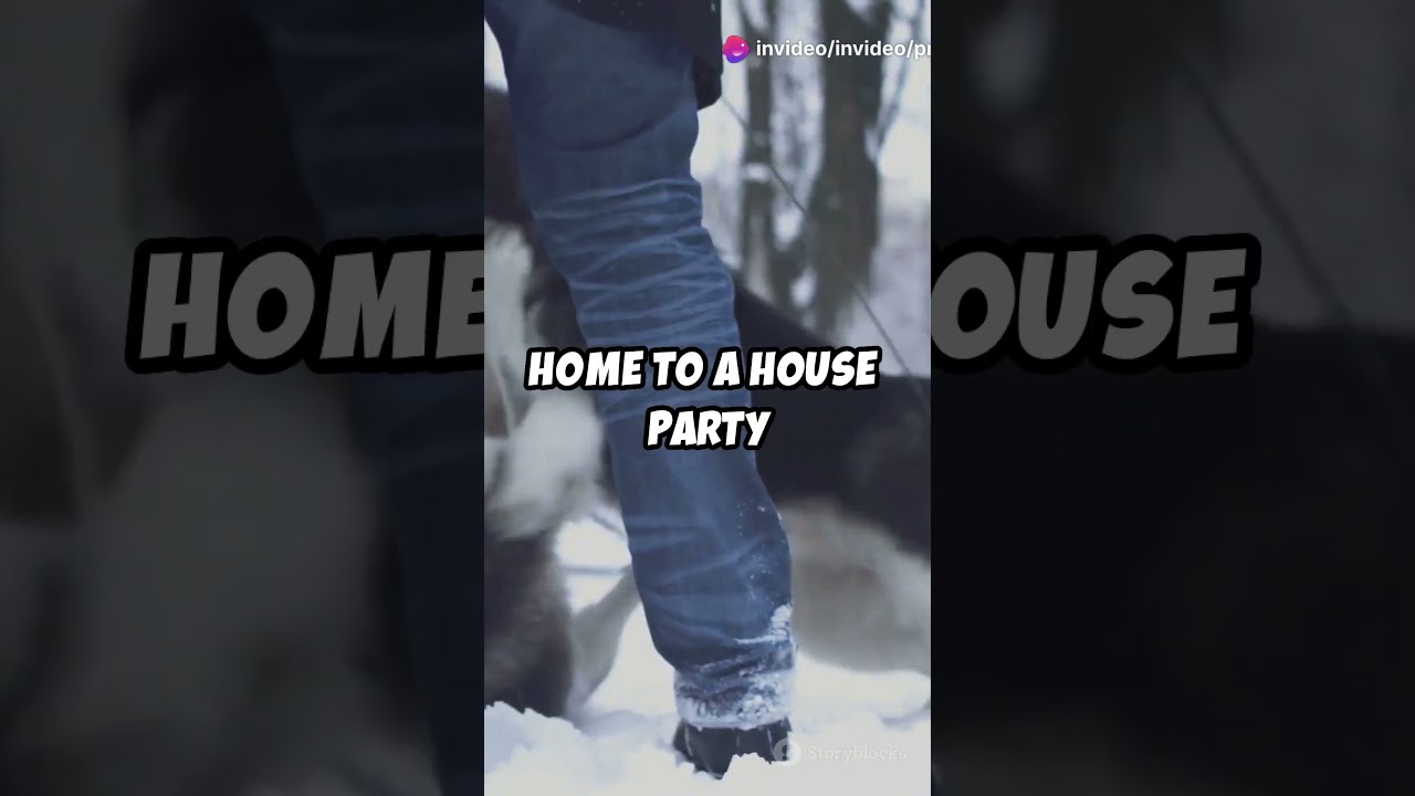 Siberian Husky Behavior Problems: What You Need to Know!