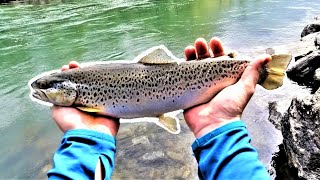 Le Belle Trote del 2021 / Pesca a Spinning e Mosca alla Trota