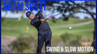 Watch Perfect Adam Scott Swing & Slow Motion 2021