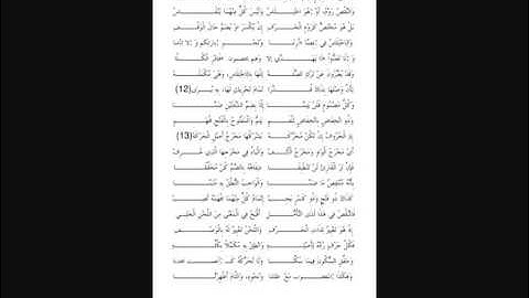المفيد في التجويد بصوت القارئ الشيخ نضال بن ناصر العسل