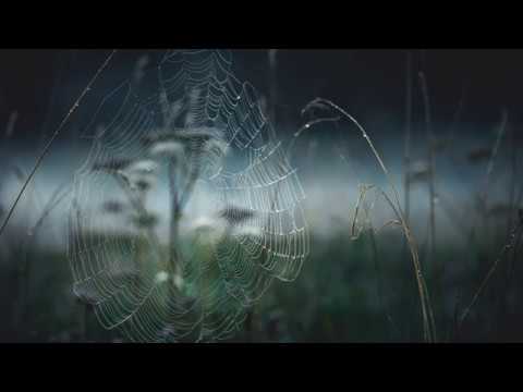 在 YouTube 上观看 Tash: TaMiLands (Danito & Athina Remix)