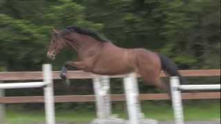 Maximum Fleet, Twig Free Jumping