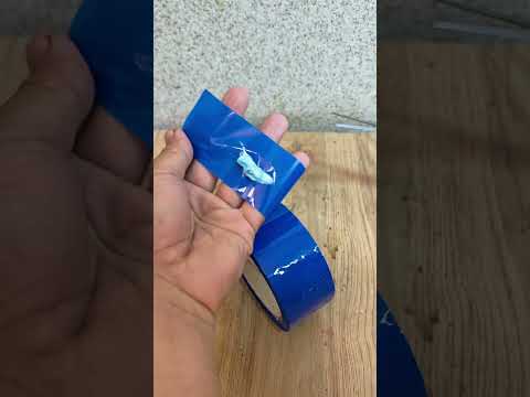 الرمال   المراه   الجيلي  الفوارس
