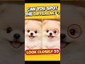 “Only 1% Can Spot the Difference 😳”#shorts#spotdifference#challenge#viral#trending