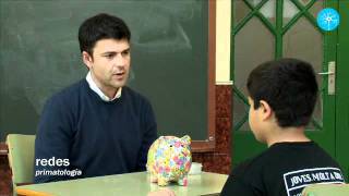 [61] REDES. Somos Primates. Capítulo 2