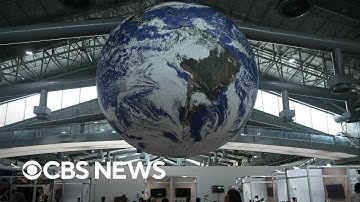 Who is the one U.S. official at COP30 in Brazil?