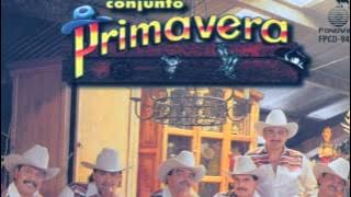 Conjunto Primavera - Anonimo *NortenasConSax*