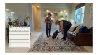 Rysn's S.T.A.R. Puppy Graduation Video