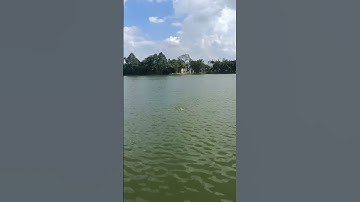 Hồ câu huyện đội hóc môn #shorts