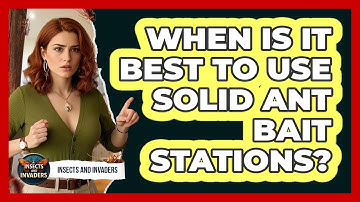 When Is It Best To Use Solid Ant Bait Stations?
