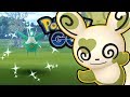 VORBEREITEN FR SHINY PANDIR POKÉMON GO DEUTSCH #1045