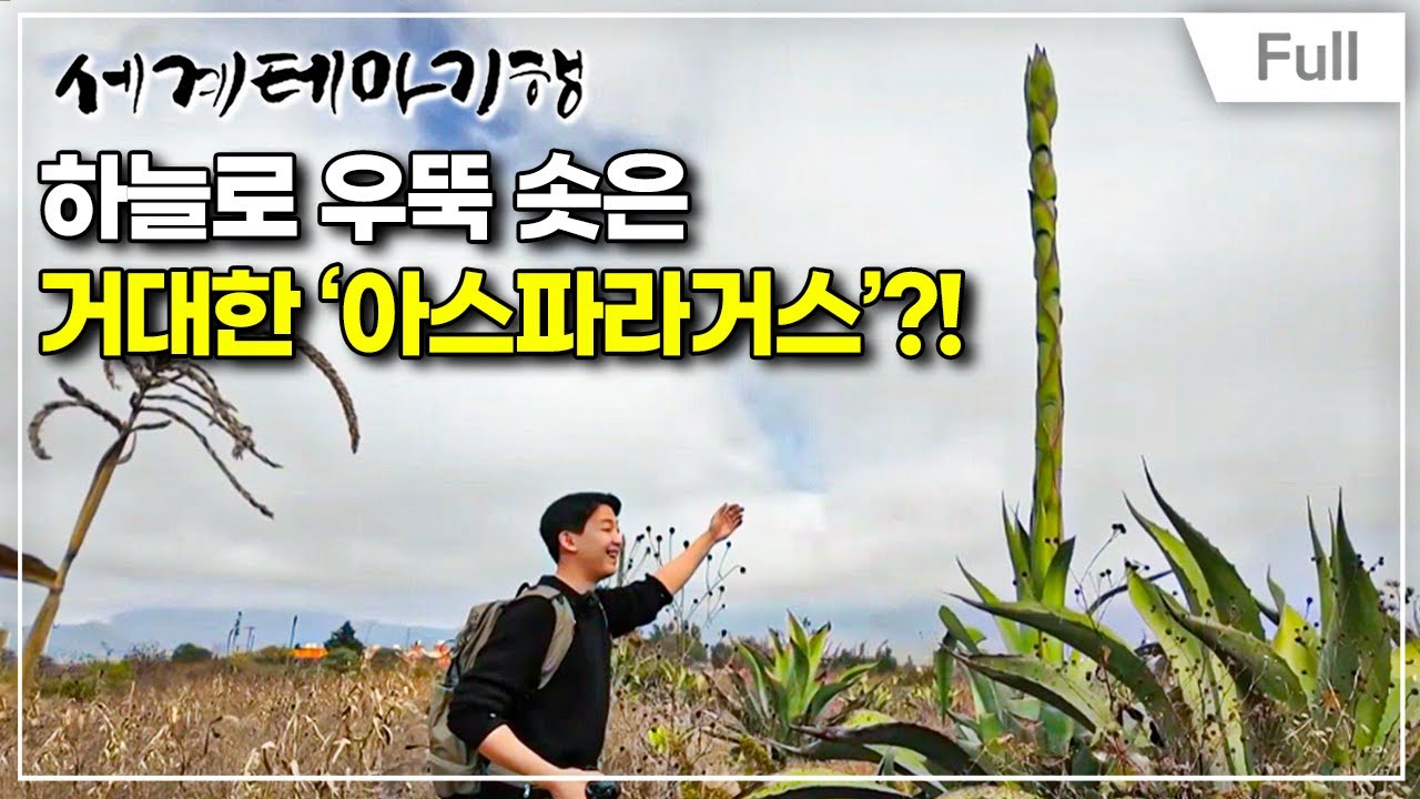 [Full] 세계테마기행 - 이 맛에, 멕시코- 바바코아의 성지, 악토판