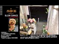 【Wed.04/15/2026 Livecamera at the florist】 スローダンス SLOWDANCE 等々力 尾山台 世田谷 Setagaya 東京 Tokyo 日本 Japan