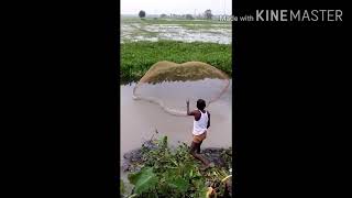 Banglar khal bil