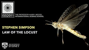 Law of the Locust: a Tale of Cannibals, Ageing & Human Obesity — Prof. Stephen Simpson