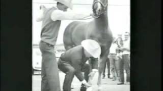 Cutter Bill - AQHA Hall of Fame Induction 2003