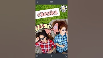 Introduction to PicCollage (Short)