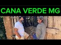 EU GOSTO DE VIVER AQUI E COMER CARNE DE PORCO NA LATA