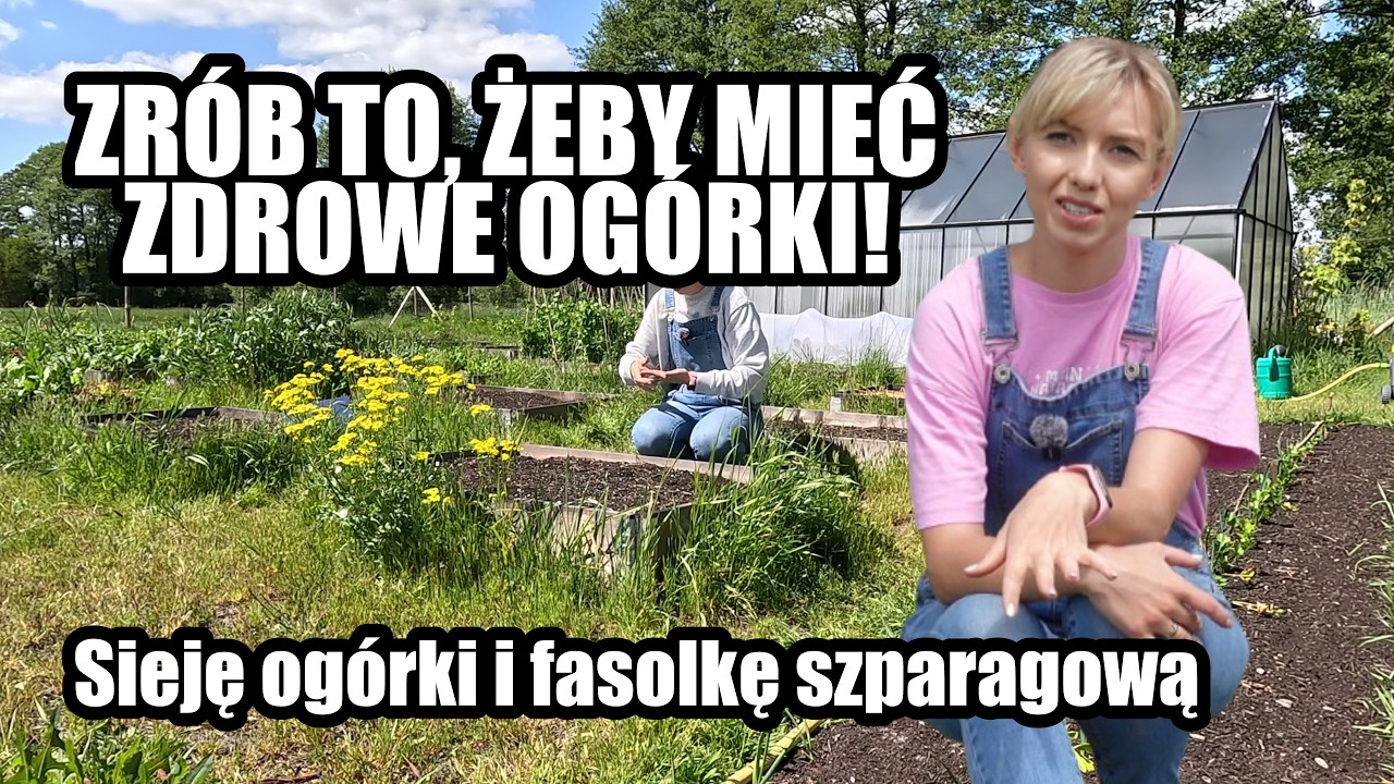 Jak siać ogórki i fasolkę szparagową + 8 zasad zdrowej uprawy