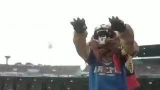 Story Wa Today Is Arema Day