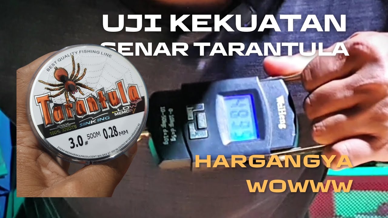 unboxing, uju kekuatan senar pancing aquasea tarantula. hasilnya 🤭