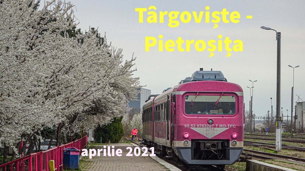 Excursie feroviară Târgoviște - Pietroșița (904)