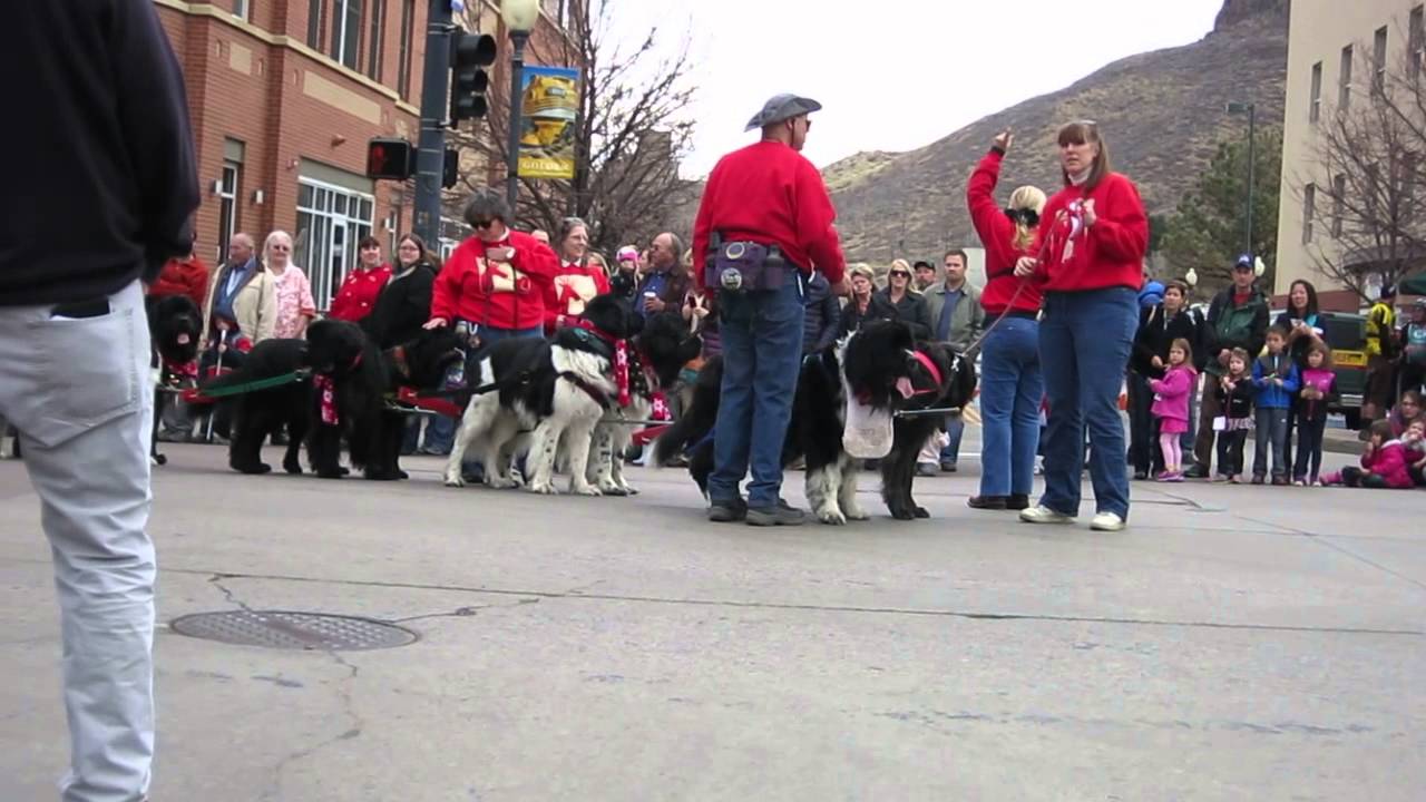 2014 Olde Golden Christmas Parade with the Amazing 8 Part 7 YouTube