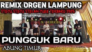 REMIX ORGEN LAMPUNG STECU STECU || ABERCIO MUSIC LIVE PUNGGUK BARU ABUNG TIMUR