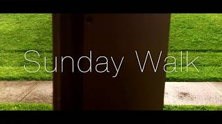 Iphone 7 & Promovie Cinematography