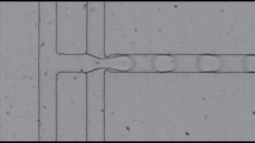 Droplet pipeline video