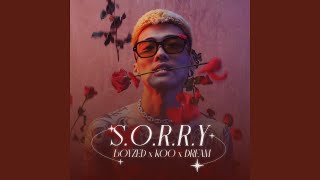 Download Lagu SORRY Download Lagu SORRY