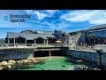 🇺🇸 USA / California: 🐠 Monterey Bay Aquarium