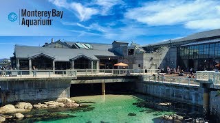 🇺🇸 Usa / California: 🐠 Monterey Bay Aquarium