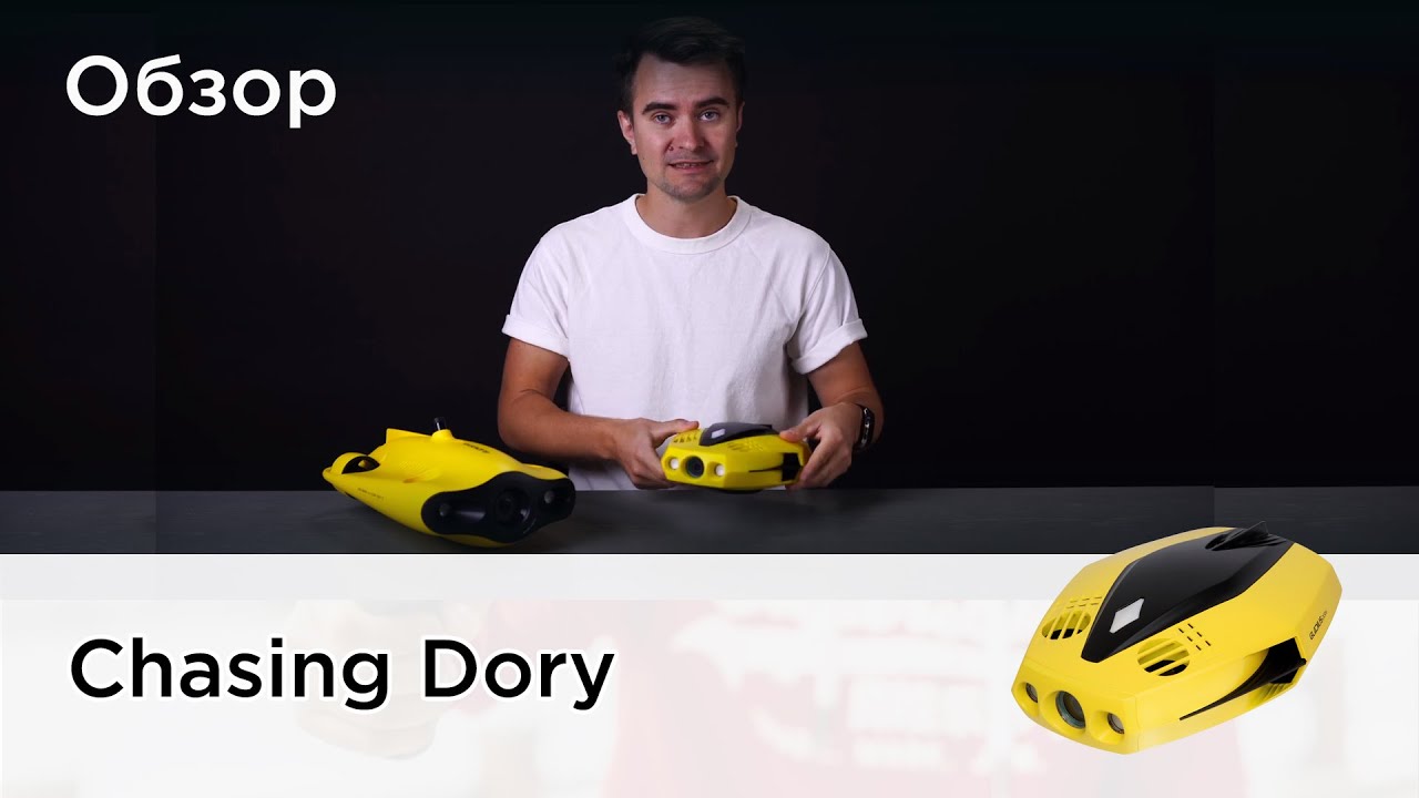 Обзор Chasing Dory