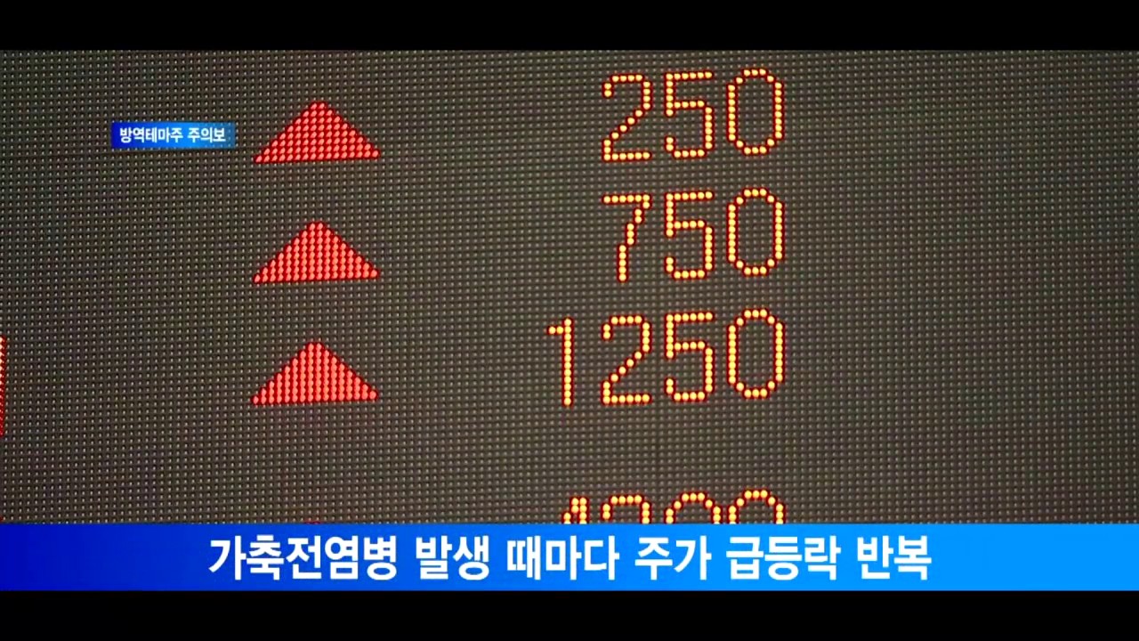 [서울경제TV] 방역테마주 AI에 웃지만… 개인 투자자 조심해야