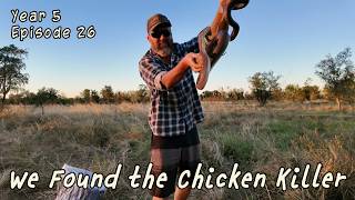 Cattle Station Jobs in the Territory | Snakes, Feral Pigs & Corn Beef